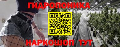 шишки Азнакаево